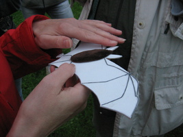 Das Modell der Fledermaus wird von einer Teilnehmerin ertastet.